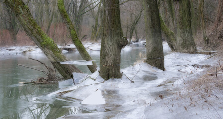 A landscape created by the activity of beavers