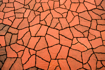 Brown crack pattern floor tiles.