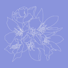 vector patterns bouquet flowers with leaves. Botanical illustration for wallpaper, clothing, paper, postcards