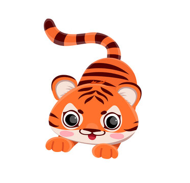 Vector cute tiger cub tiger hunting ready to jump