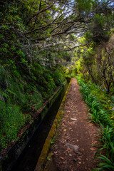 Madeira - Levada da Norte
