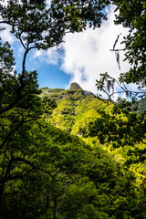 Madeira - Levada da Norte