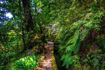 Madeira - Levada da Norte