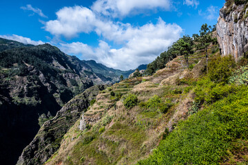 Fototapeta na wymiar Madeira - Levada da Norte