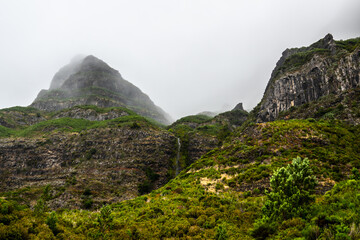 Fototapeta na wymiar Madeira - Levada da Norte