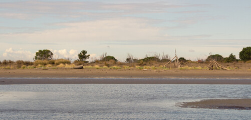 Marine background. View from the sea on the beach with dunes dominated by the thick tufts of beachgrass Ammophila littoralis. Rustic wooden buildings on the beach. Rosolina, Italy.