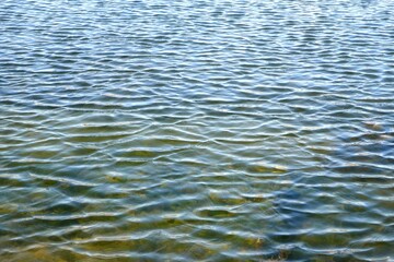 Water surface background with tiny waves and reflections.