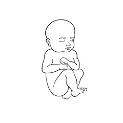 Linear baby illustration. Vector new born baby line art isolated on white. 