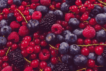 Blackberry, raspberry, blueberry,  red currant and mint background.