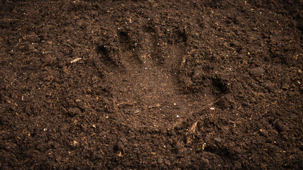 Woman hand trace on a ground.