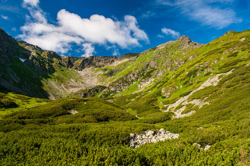 Fototapeta na wymiar Pietrosul Rodnei mountain. Mountain ridge slopes of Rodna Mountains National Park multiday hike, Muntii Rodnei National Park, Romania, Romanian Carpathian Mountains, Europe.