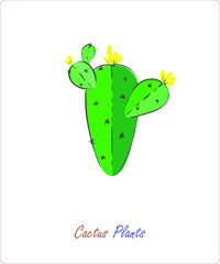 Cactus plants on a white background. Vector. A flat picture in delicate shades. Elements for the design and printing of wallpapers, sketches, patterns and textiles.