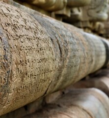 close up of ancient tamil scripts