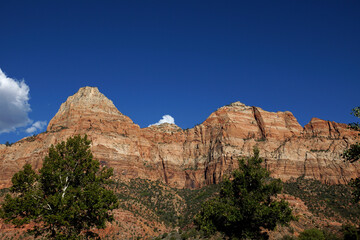 Fototapeta premium Zion Nationalpark