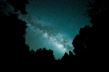 Fototapeta na wymiar Milky way in El Pilar forest, La Palma Island, Canary Islands, Spain