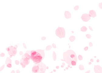 Back illustration of dancing cherry blossom petals 02