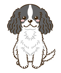 アメリカンコッカースパニエル（ブラックホワイト）