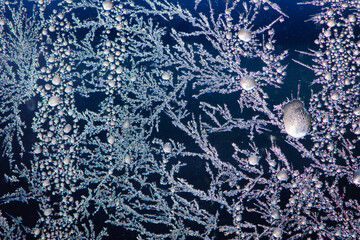 freezing. the image of frost on the glass. Subzero temperatures outside. Frozen water crystals on glass. drawings, patterns of frost on glass, winter ice background