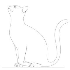 cat sit drawing by one continuous line, isolated, vector