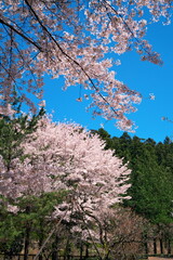 季節の流れ