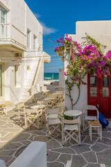 Traditional Cycladitic alley with narrow street, whitewashed facade of stores a tavern exterior and a blooming bougainvillea in Naousa  Paros island, Greece.