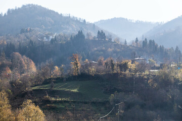 Georgian forest landscape in the midday sun, general plan, warm autumn