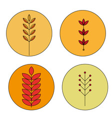 Set of abstract plants.Silhouette.Collection hand drawn, botanical and healing isolated plants.Herbs design template.Twigs and leaves with abstract colorful forms