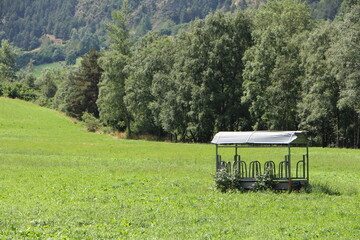 Campo de cultivo en verde