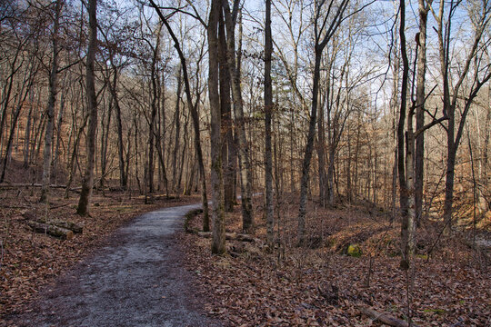 The Lost Valley Trail. Buffalo National River, Arkansas.