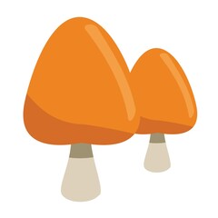mushroom plant and vegetables vector design