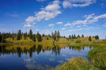 Fototapeta na wymiar Pond reflecting the clouds and surrounded by fall color