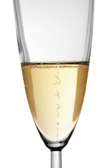 Champagne bubbles in a glass close-up, on a white background