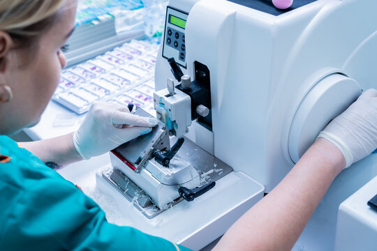 Laboratory assistant works on a rotary microtome section and making microscope slides