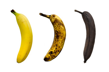 Banana ripeness level, from fresh to rotten on white background