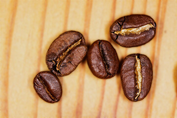 Kaffee-Bohnen