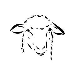 Sheep sketch style. Hand drawn illustration of beautiful black and white animal. Line art drawing in vintage style. Realistic image.