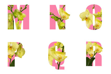 Floral pink letters M N O P Q R
