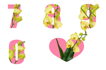 Floral pink numbers 7 8 9 0 and heart with orchid