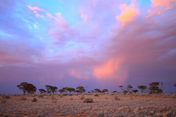 Evening storm approaching in the Australian outback