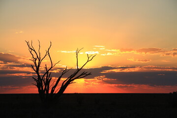 Sunset on the flat plain of Australian outback