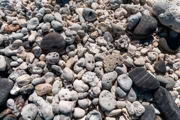 Coral and stone on the beach at Beauty stone