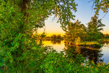 Sunset over the river. Clear sky. Overgrown coastline. Smooth surface of water. View from the shore through the foliage. Russia, Europe.
