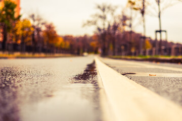 Autumn day in the city. Fallen leaves on city road. Puddles on the asphalt. Focus on the asphalt. Close up view from the level of the dividing line.