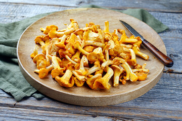 Frische gepflückte und gereinigte Pfifferlinge angeboten als close-up auf einem rustikalen Holz Board 