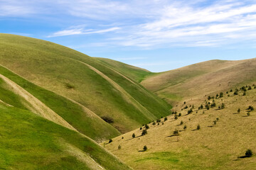 Obraz premium Mountain spring landscape. Green-yellow hills, trees and a bright blue sky with clouds.