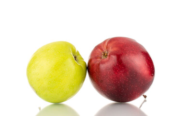 Two sweet red and green apples , close-up, isolated on white.