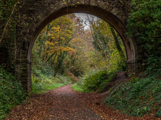 Single arch old bridge on the Tarka Trail in north Devon. Autumn. - obrazy, fototapety, plakaty