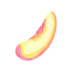 Watercolor peaches set. Hand-drawn vector peach. Sweet fruit drawing. Vector illustration