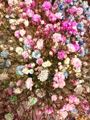 a bouquet of blue and pink gypsophila flowers