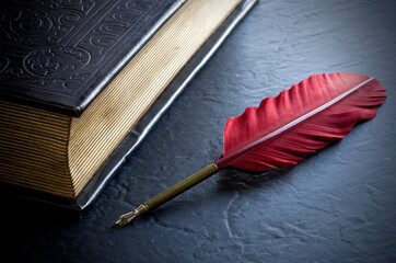 Beautiful Antique Red Feather Pen with Brown Book on Black Table